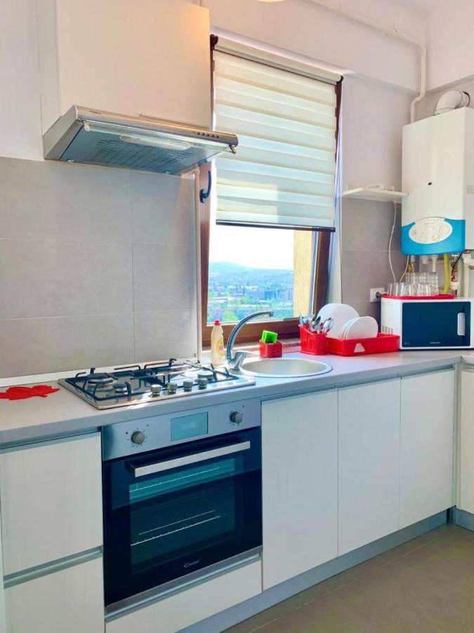 Cityscape Apartment Near Palas Mall 雅西 外观 照片