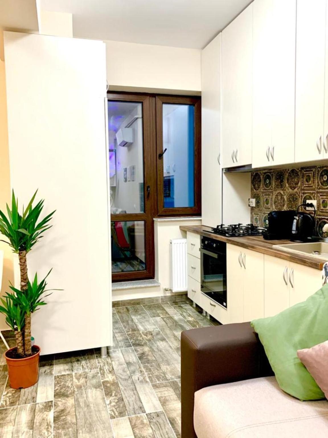 Cityscape Apartment Near Palas Mall 雅西 外观 照片